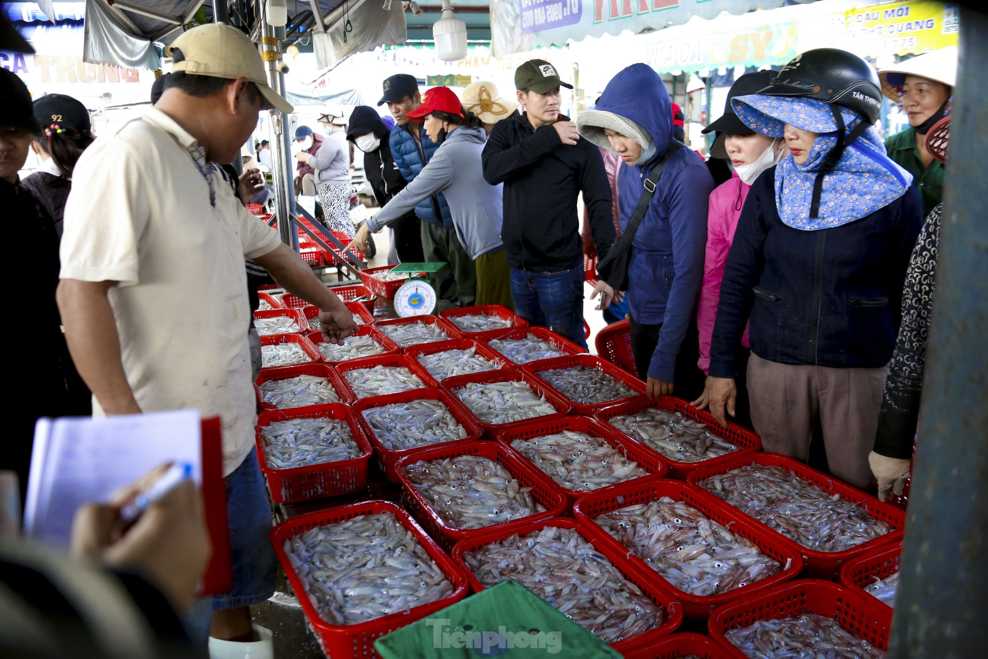 Mực tươi đầy ắp, mua bán nhộn nhịp ở cảng cá lớn nhất miền Trung - Ảnh 1