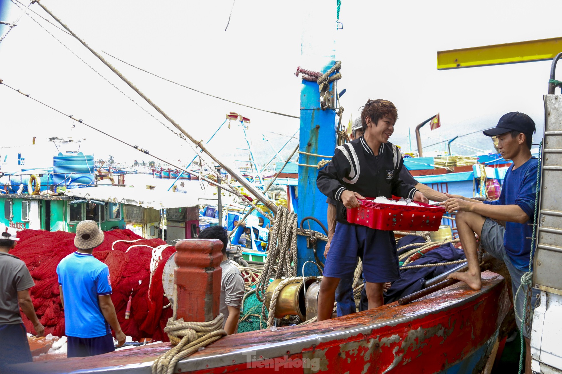 Mực tươi đầy ắp, mua bán nhộn nhịp ở cảng cá lớn nhất miền Trung - Ảnh 19