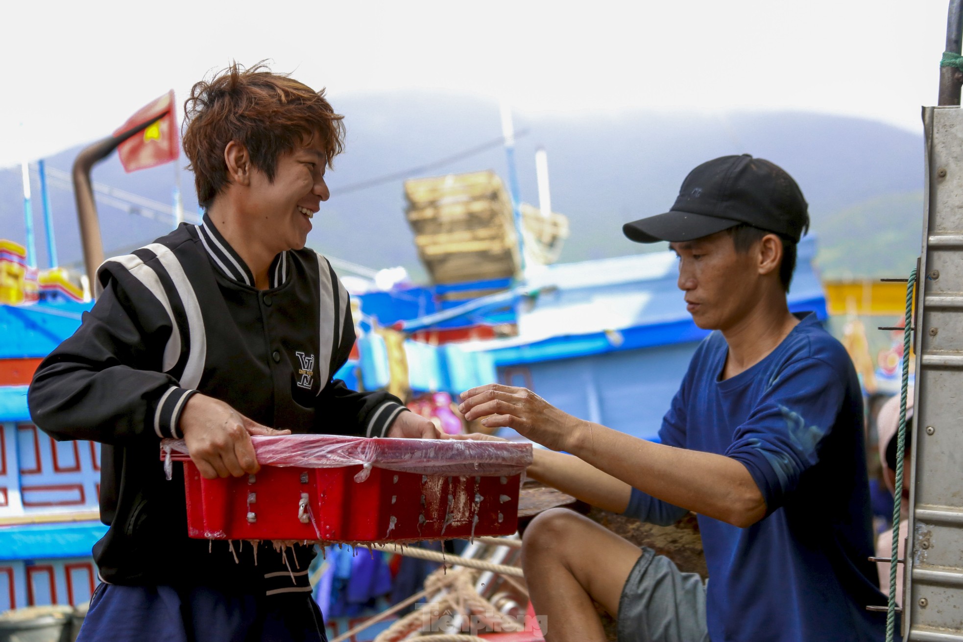 Mực tươi đầy ắp, mua bán nhộn nhịp ở cảng cá lớn nhất miền Trung - Ảnh 3