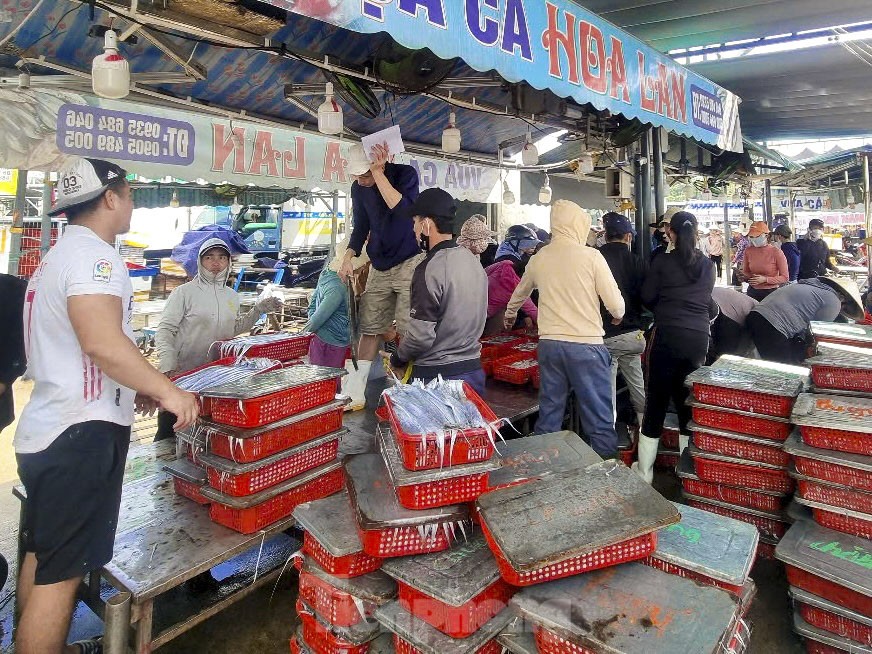 Mực tươi đầy ắp, mua bán nhộn nhịp ở cảng cá lớn nhất miền Trung - Ảnh 6