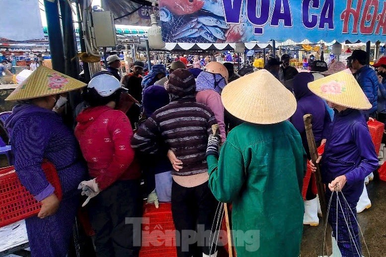 Mực tươi đầy ắp, mua bán nhộn nhịp ở cảng cá lớn nhất miền Trung - Ảnh 12