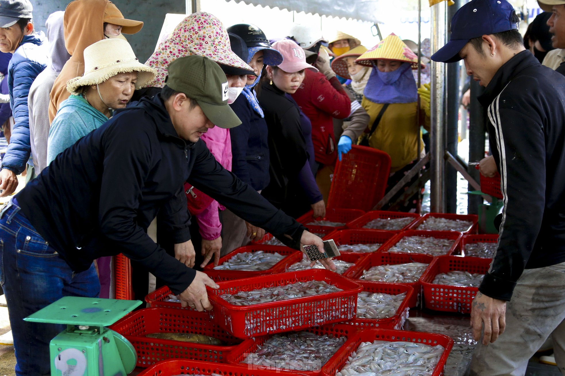 Mực tươi đầy ắp, mua bán nhộn nhịp ở cảng cá lớn nhất miền Trung - Ảnh 5