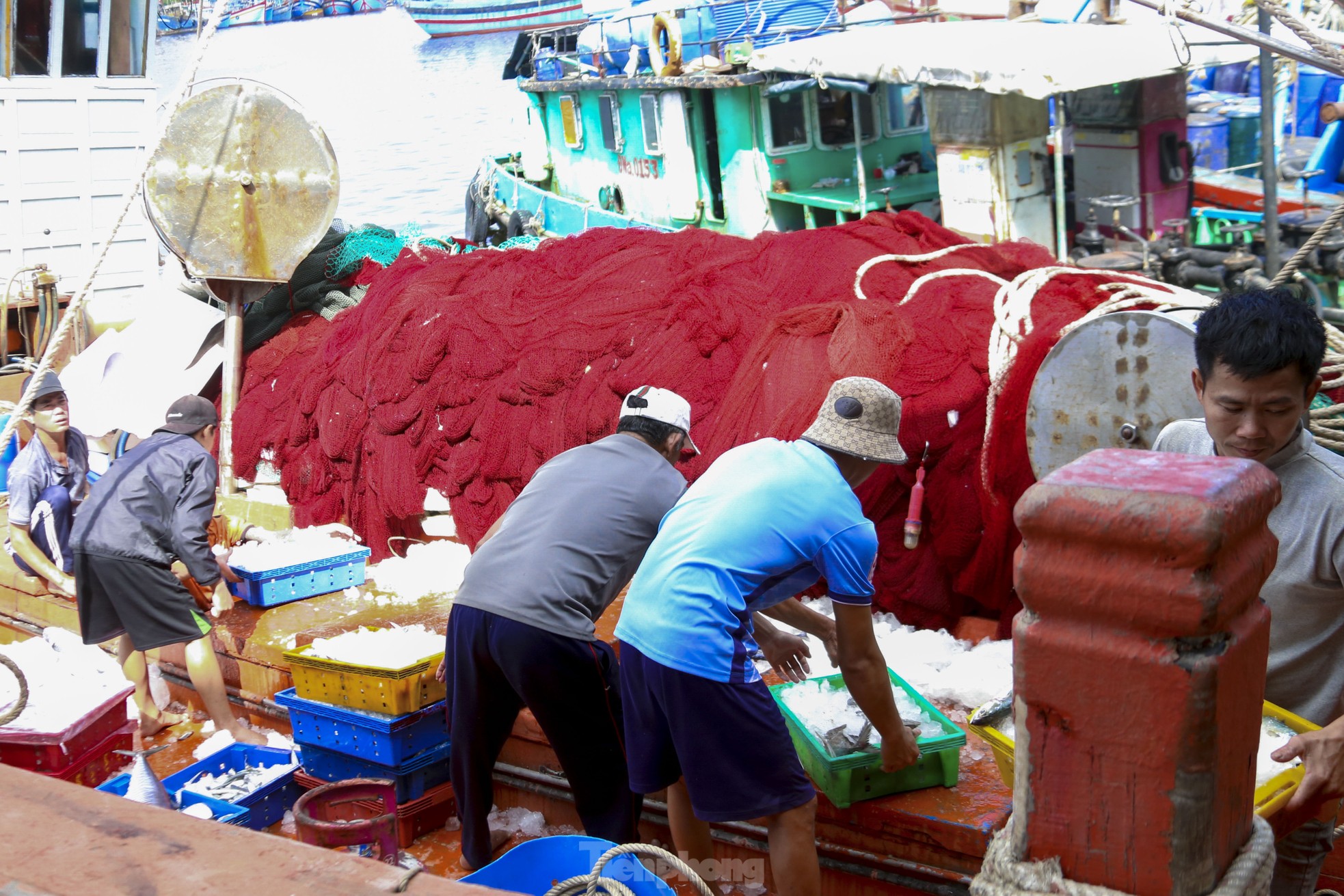 Mực tươi đầy ắp, mua bán nhộn nhịp ở cảng cá lớn nhất miền Trung - Ảnh 2
