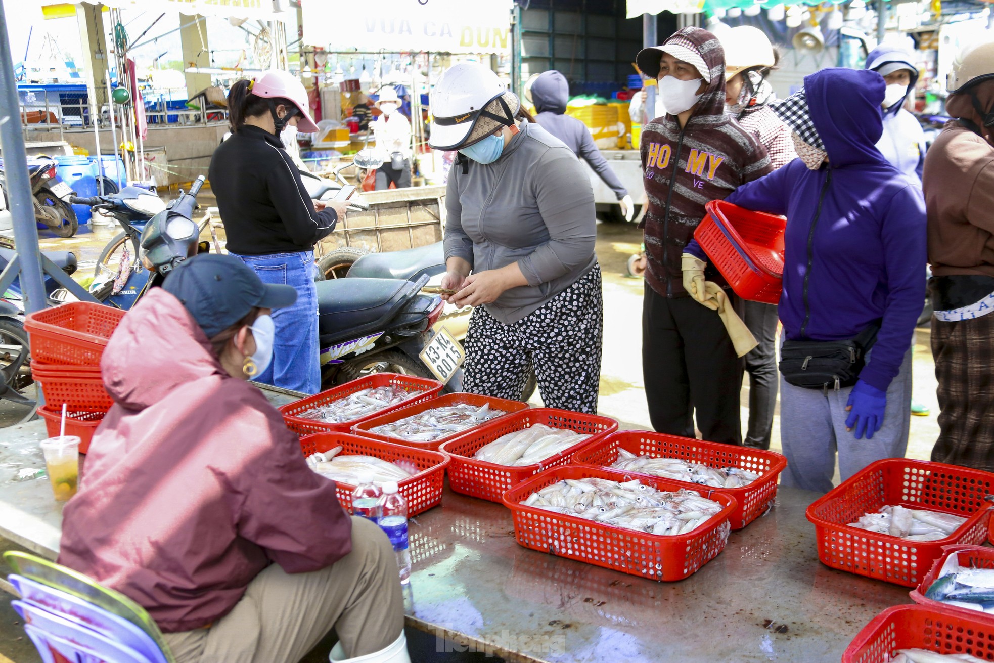 Mực tươi đầy ắp, mua bán nhộn nhịp ở cảng cá lớn nhất miền Trung - Ảnh 8