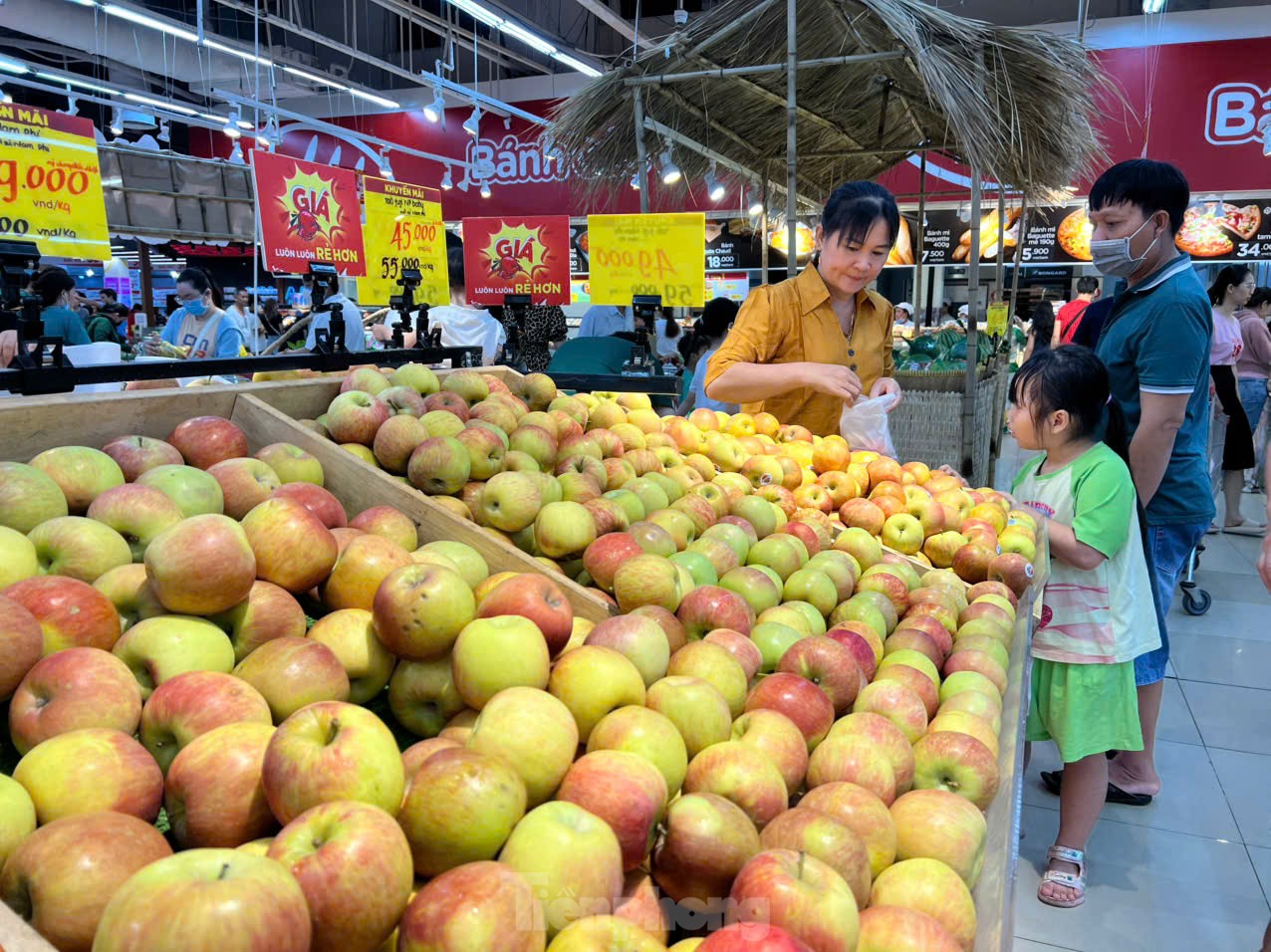 Nhiều loại trái cây 'xa xỉ' có giá rẻ giật mình - Ảnh 5