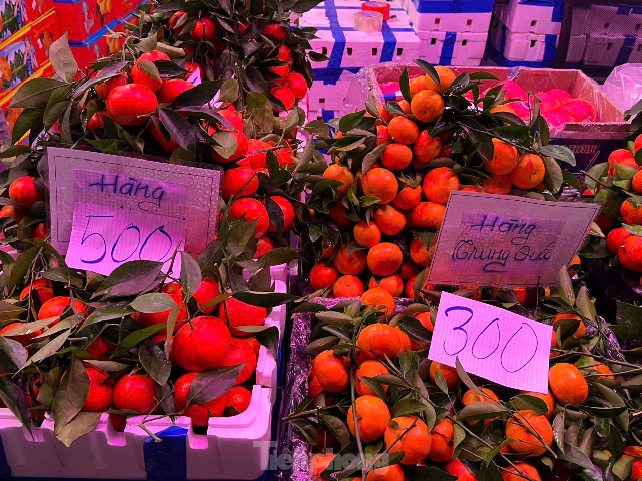 Nhiều loại trái cây 'xa xỉ' có giá rẻ giật mình - Ảnh 6