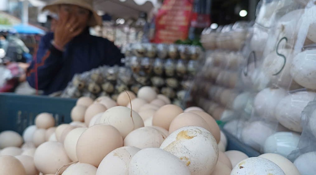 Giá trứng gà ở Việt Nam giảm sâu, sao không xuất khẩu sang Mỹ? - Ảnh 1