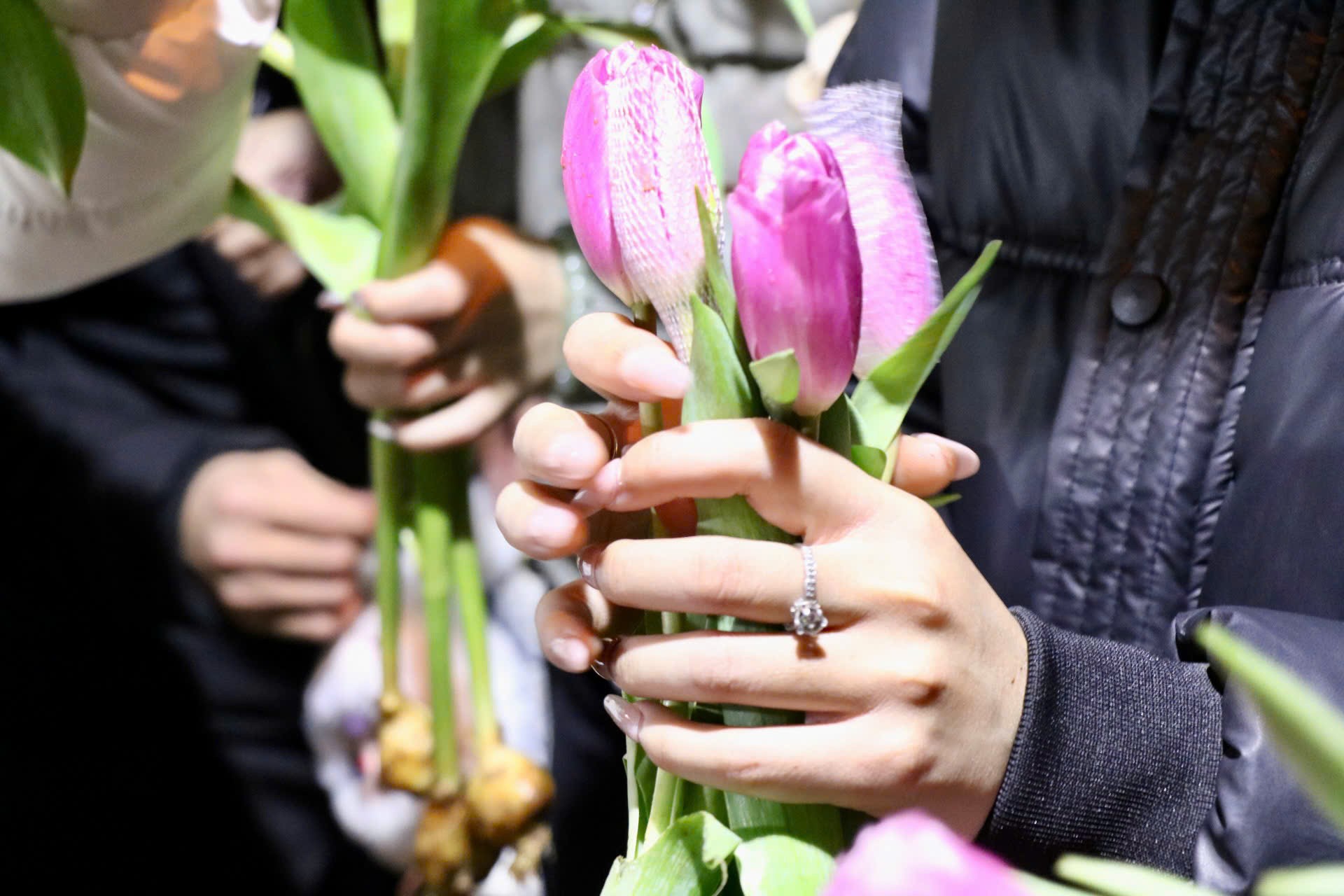 Giới trẻ mê trồng hoa tulip, tiểu thương thu hàng chục triệu mỗi ngày - Ảnh 4