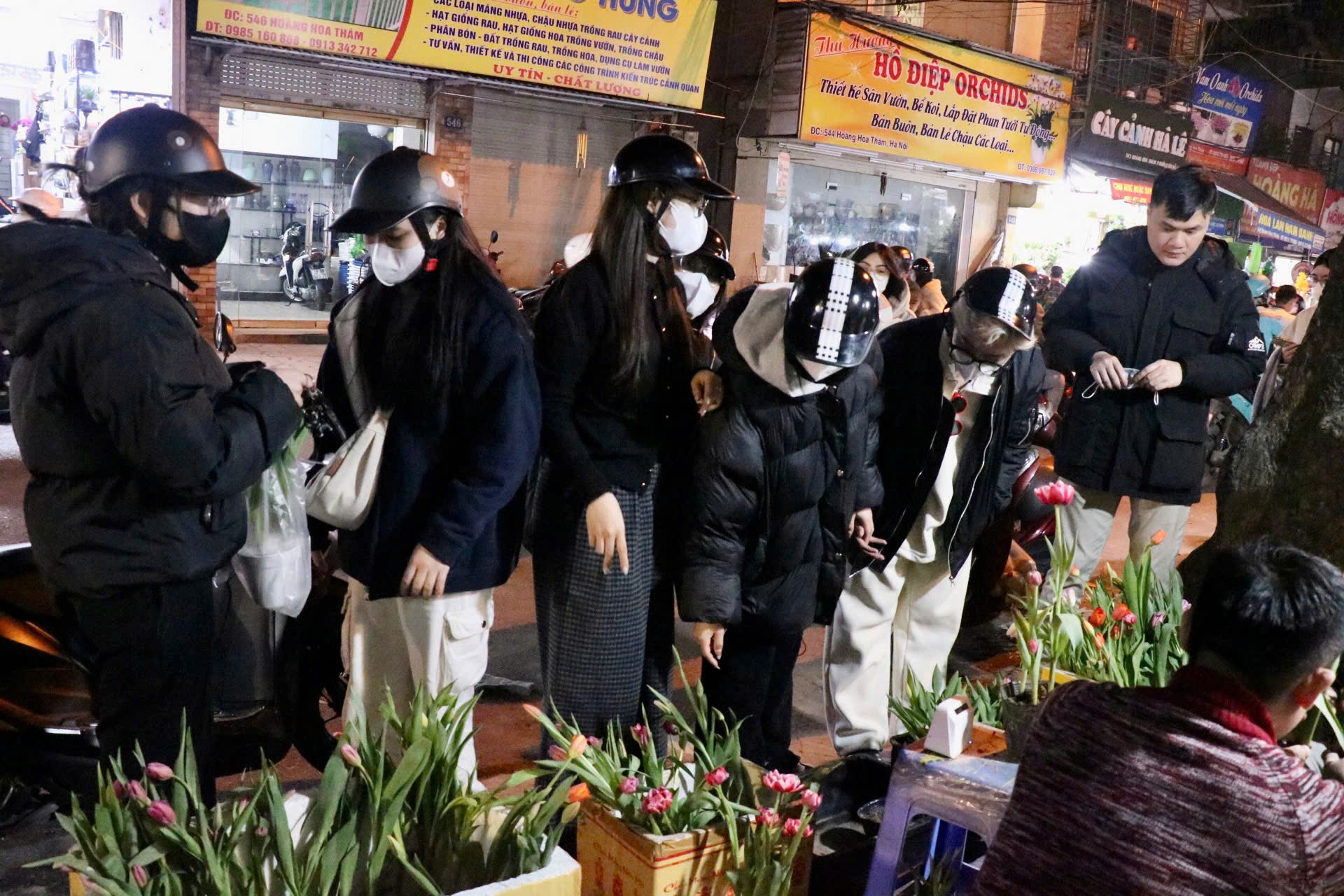 Giới trẻ mê trồng hoa tulip, tiểu thương thu hàng chục triệu mỗi ngày - Ảnh 1