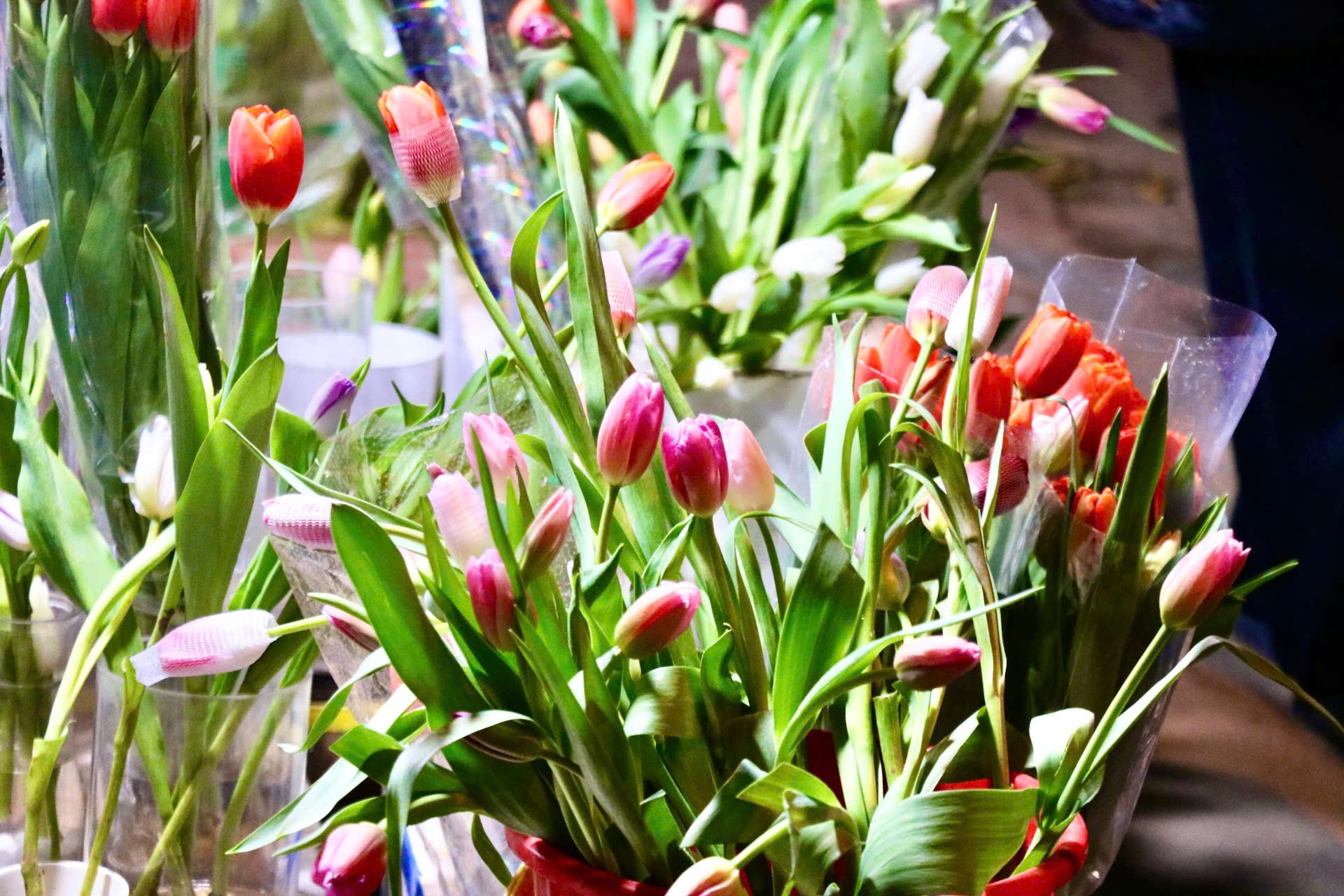 Giới trẻ mê trồng hoa tulip, tiểu thương thu hàng chục triệu mỗi ngày - Ảnh 7