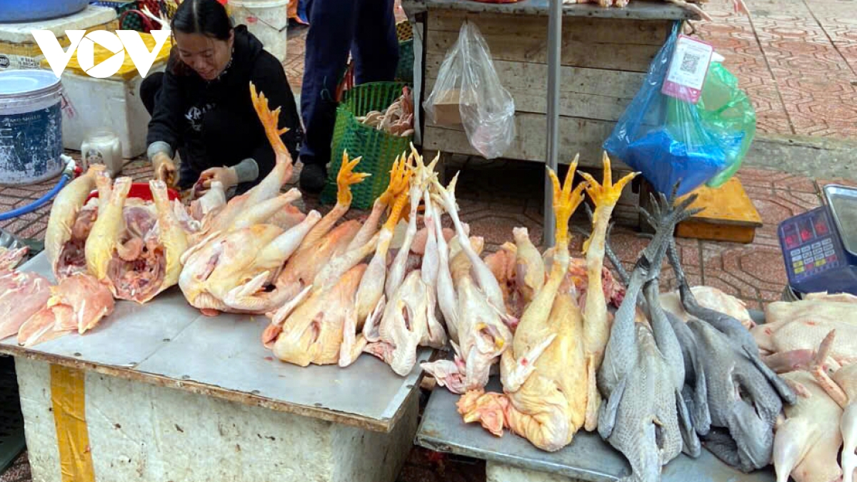 Giá thịt lợn tăng cao, nhiều người không dám mua - Ảnh 4