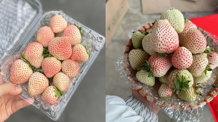 Loại quả từng có giá triệu đồng/kg nay bán rẻ bèo trên 'chợ mạng' - Ảnh 2