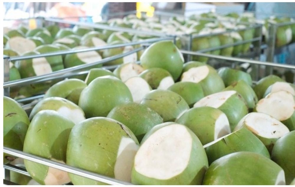 Một sản vật Việt Nam tăng giá gấp đôi: Trung Quốc, Thái Lan "cạnh tranh gay gắt" để thu mua - Ảnh 2