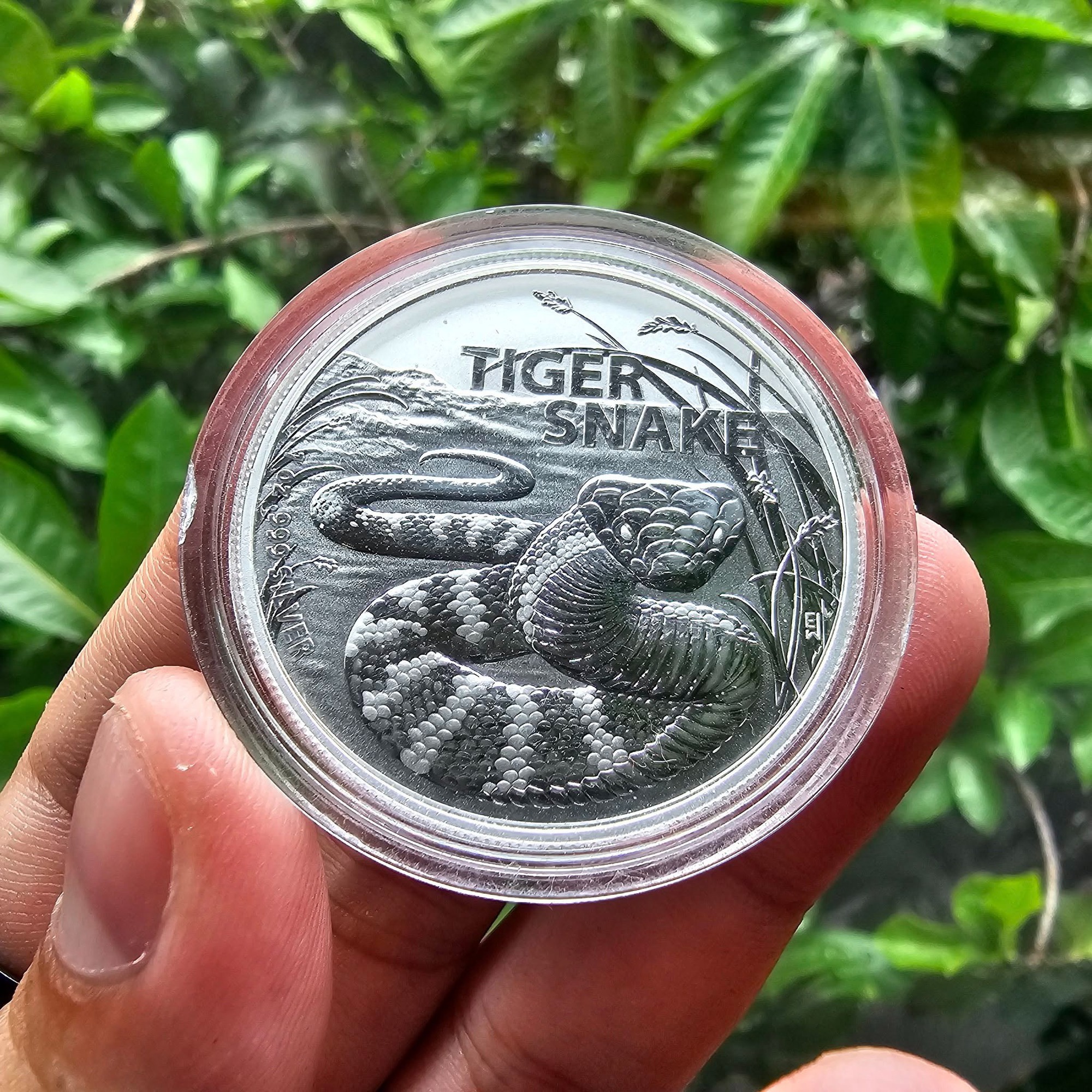 Một thú sưu tầm '10 điểm không có nhưng' đang ngày càng được các 'dân chơi' tại Việt Nam quan tâm - Ảnh 7