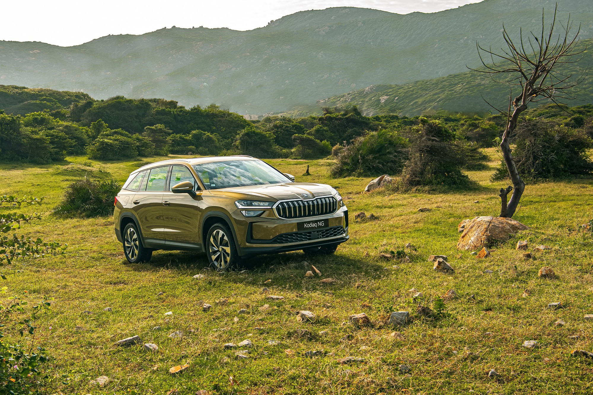 Loạt xe mới ra mắt Việt Nam tháng 2: Đều là SUV, cả lắp ráp và nhập khẩu, có mẫu lần đầu xuất hiện - Ảnh 7