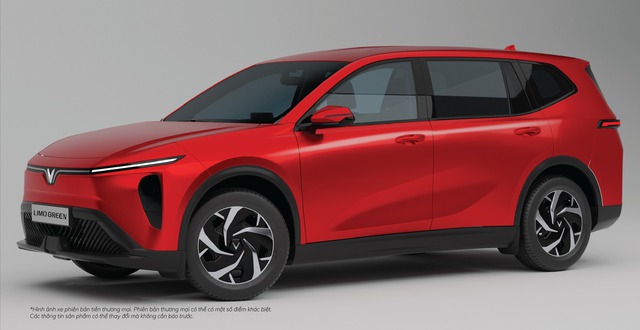 "Cứ chuyển đổi đi, lỗ tôi chịu" - Một công ty mua 1.000 xe VinFast chưa lộ diện ngoài đời để về cày tiền - Ảnh 2