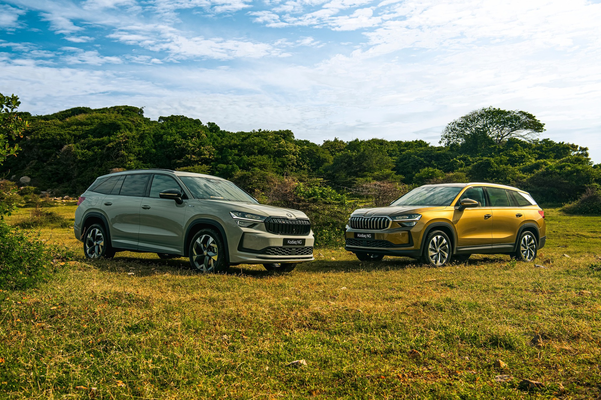 Loạt xe mới ra mắt Việt Nam tháng 2: Đều là SUV, cả lắp ráp và nhập khẩu, có mẫu lần đầu xuất hiện - Ảnh 5