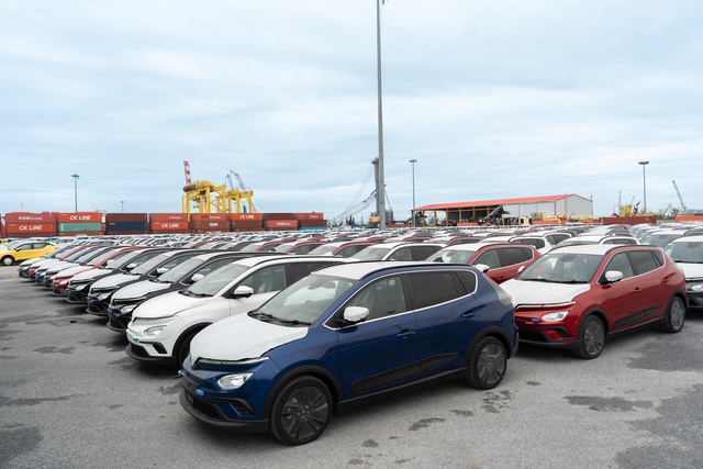 Không chỉ mang sang thứ gây sốt ở Việt Nam, VinFast tính làm điều chưa từng làm tại nước 280 triệu dân - Ảnh 3