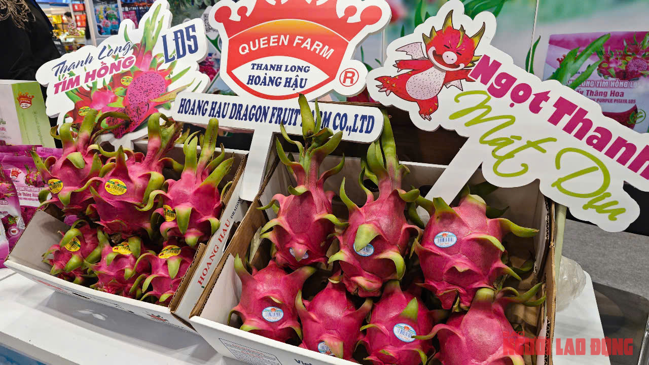 Vượt sầu riêng, thanh long bất ngờ trở lại ngôi vua xuất khẩu - Ảnh 1