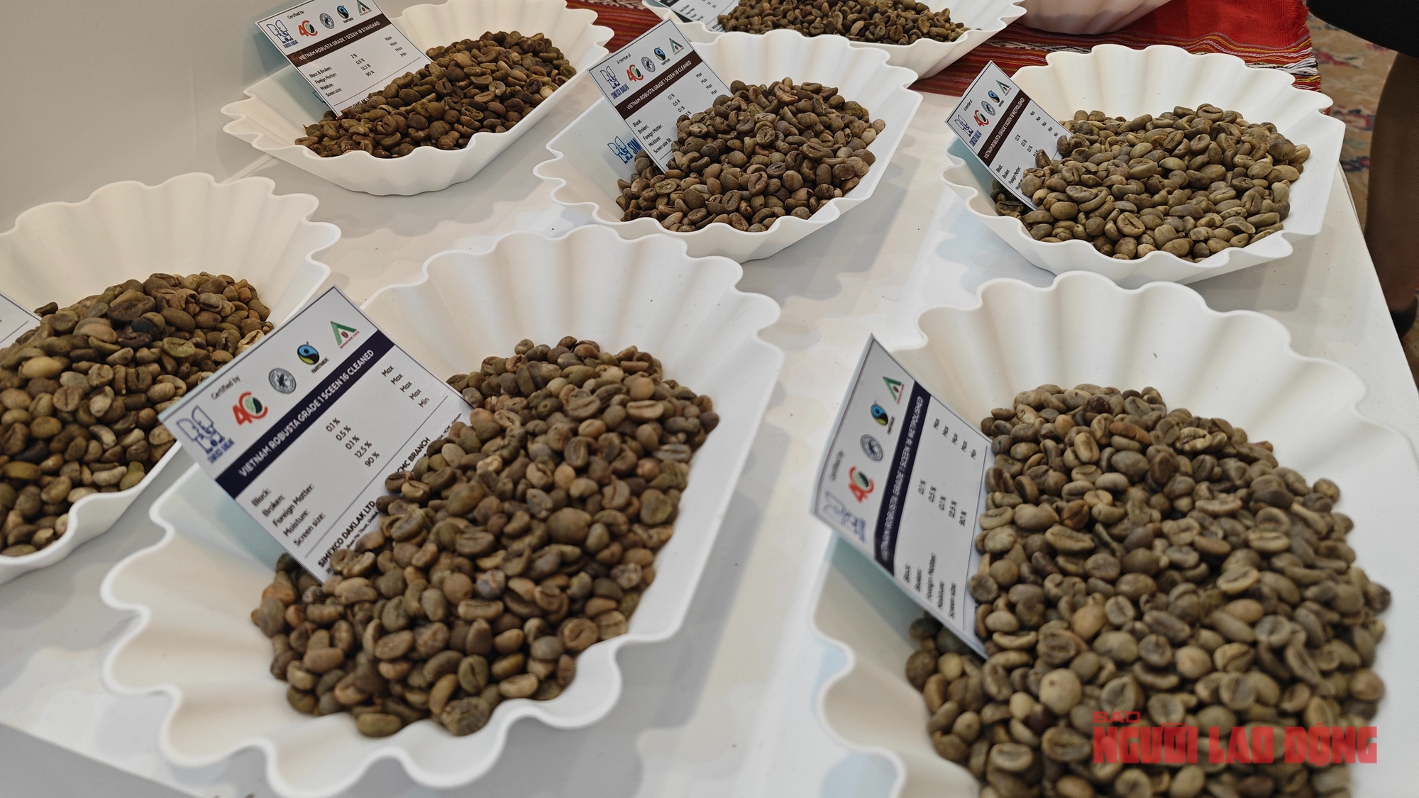 Giá cà phê hôm nay 5-3: Tăng nóng, có thể lập đỉnh 135.000 đồng/kg - Ảnh 1