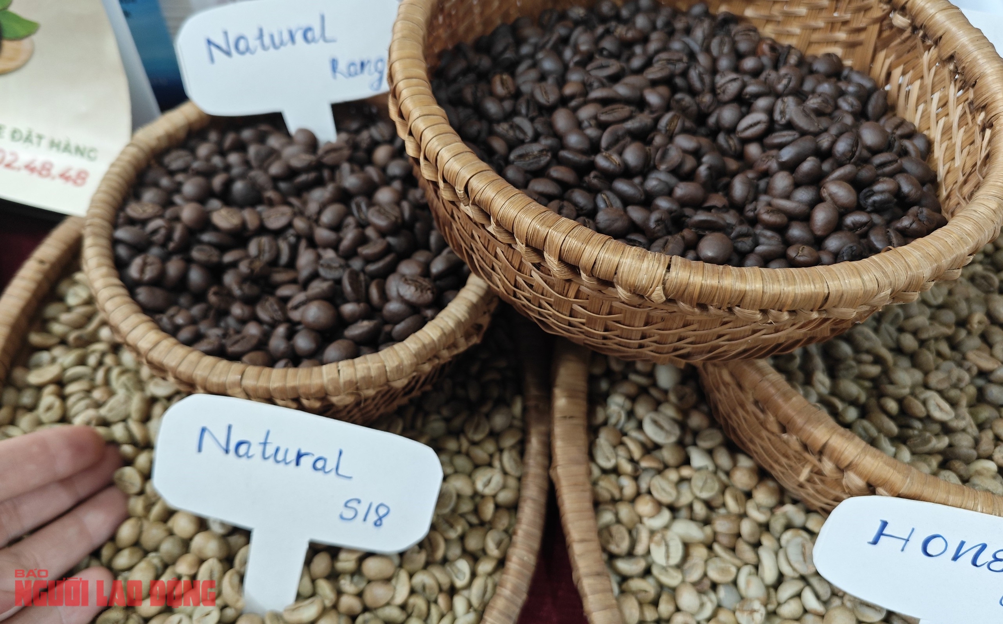 Giá cà phê hôm nay 15-3: Rớt cực mạnh - Ảnh 1