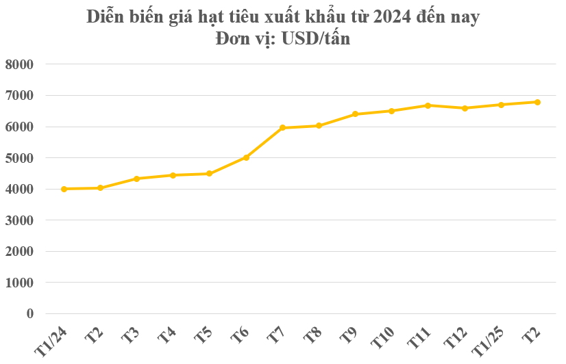 Việt Nam trúng lớn khi nắm giữ loại vàng đen đang lên cơn sốt: Giá lên đỉnh 8 năm do nguồn cung khan hiếm, xuất khẩu bằng cả thế giới cộng lại - Ảnh 1