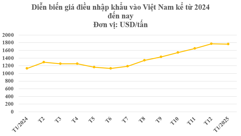 Hàng chục nghìn tấn hàng từ châu Phi giúp Việt Nam xuất khẩu bỏ xa cả thế giới: Giá tăng phi mã, nước ta chi hơn 170 triệu gom hàng trong tháng 1 - Ảnh 1