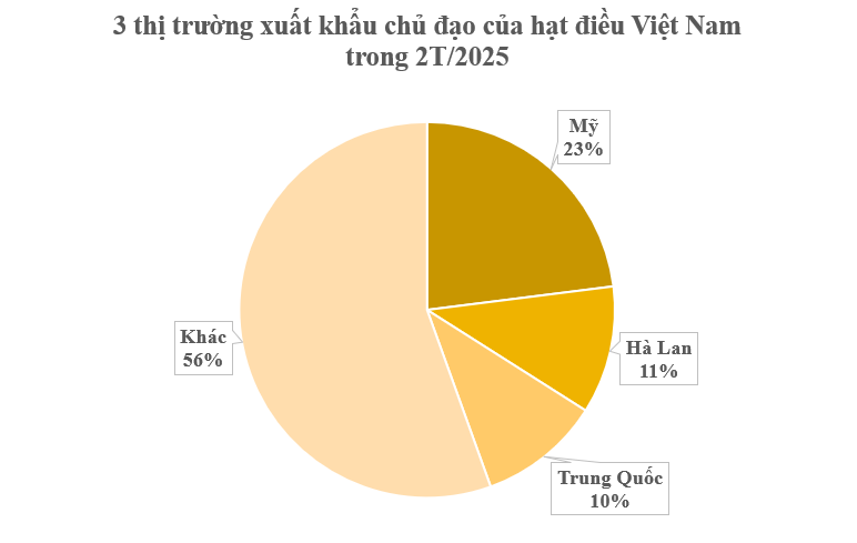 Mỹ, Hà Lan liên tục chốt đơn một loại sản vật đắt đỏ của Việt Nam: Tỉnh Bình Phước có diện tích bằng cả nước cộng lại - Ảnh 1