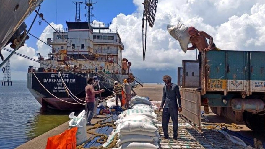 Thị trường gạo toàn cầu xáo trộn mạnh vì gạo Ấn Độ - Ảnh 2