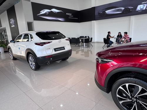 Ô tô Việt bám đuổi xe Thái - Ảnh 1