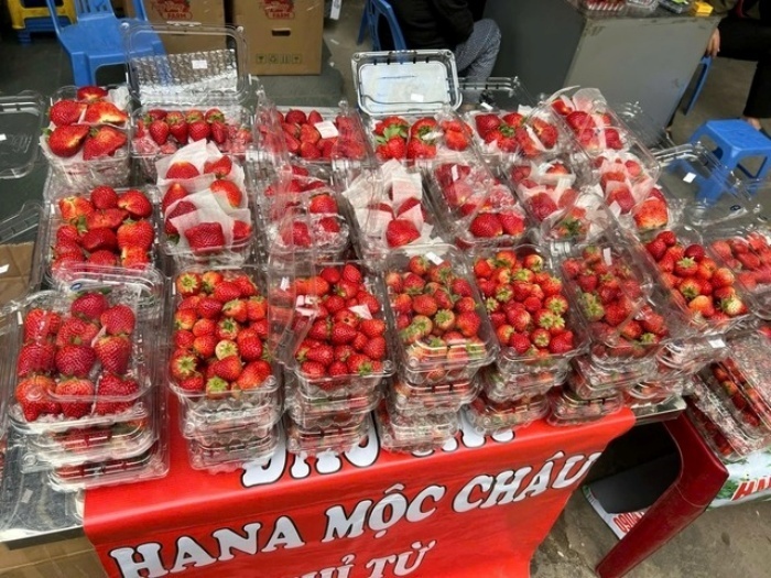 Dâu tây "giá rẻ như cho" tràn ngập thị trường, bán tràn lan ở vỉa hè Hà Nội - Ảnh 3