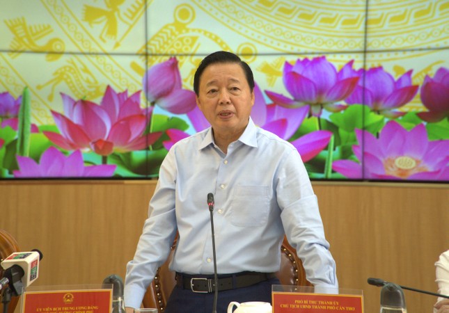 Phó Thủ tướng ‘sốt ruột’ việc giá lúa gạo giảm mạnh - Ảnh 1