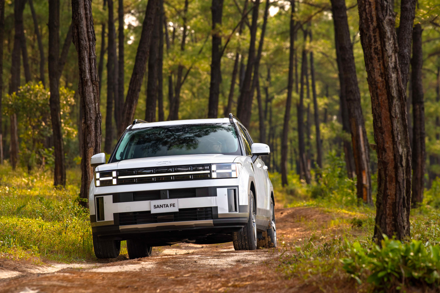 Hyundai Santa Fe 'xả kho' giảm kỷ lục 115 triệu tại đại lý: Bản tiêu chuẩn còn 970 triệu, rẻ hơn cả Everest, Kodiaq đời cũ - Ảnh 11