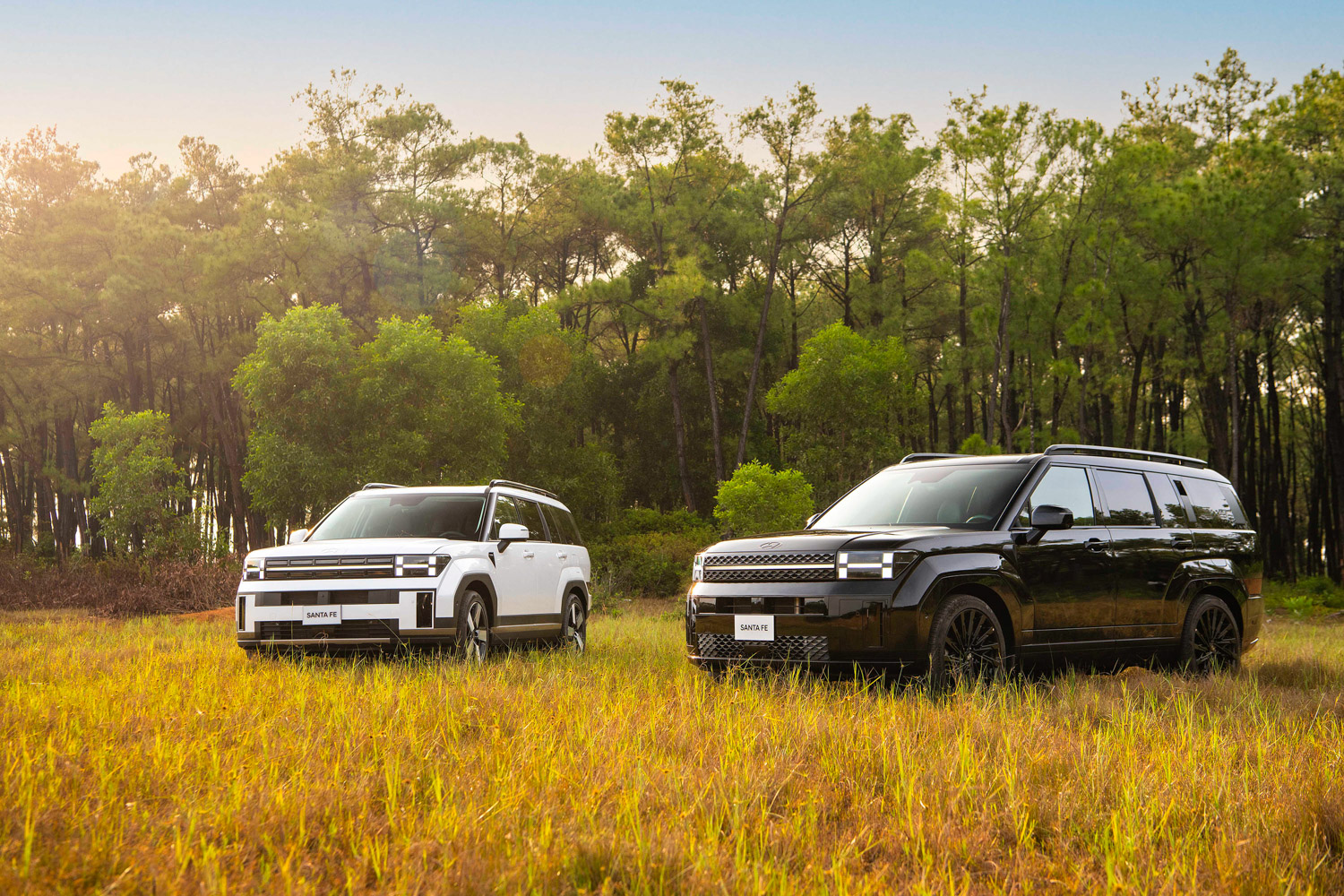 Hyundai Santa Fe 'xả kho' giảm kỷ lục 115 triệu tại đại lý: Bản tiêu chuẩn còn 970 triệu, rẻ hơn cả Everest, Kodiaq đời cũ - Ảnh 9