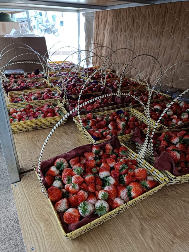 Dâu tây 'rẻ như bèo' tràn ngập Hà Nội - Ảnh 3