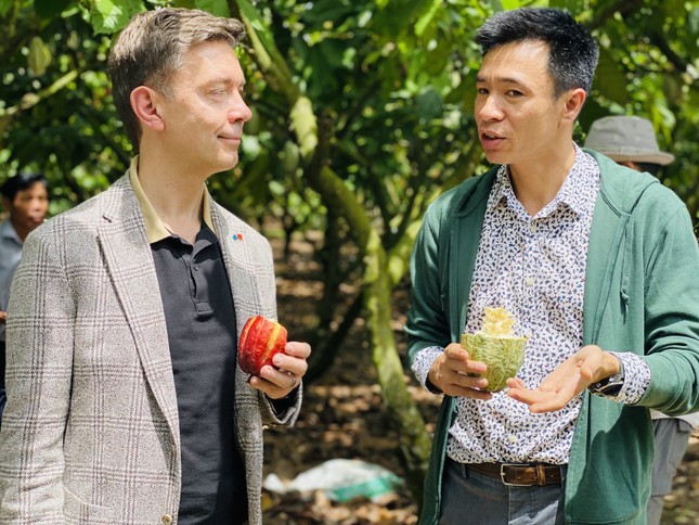 Đại sứ EU mục sở thị nơi trồng cacao ngon nhất thế giới tại Việt Nam - Ảnh 1