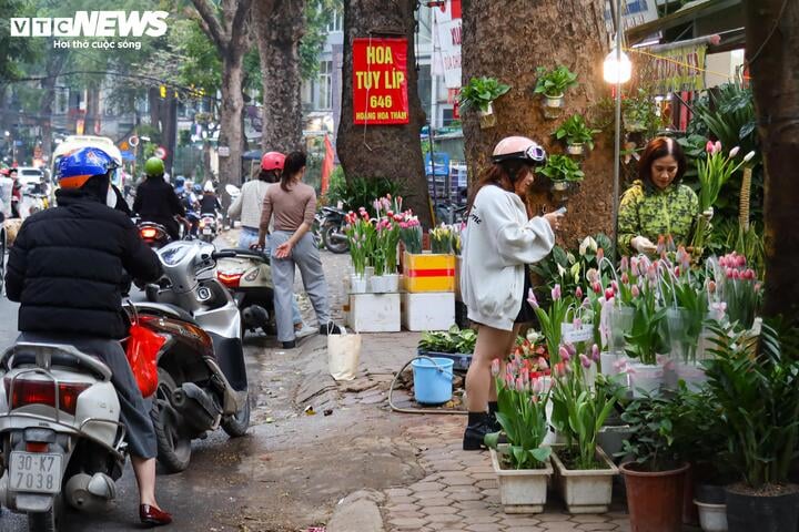 Khách hàng đổi 'gu', săn mua sen đá độc lạ dịp 8/3 - Ảnh 19