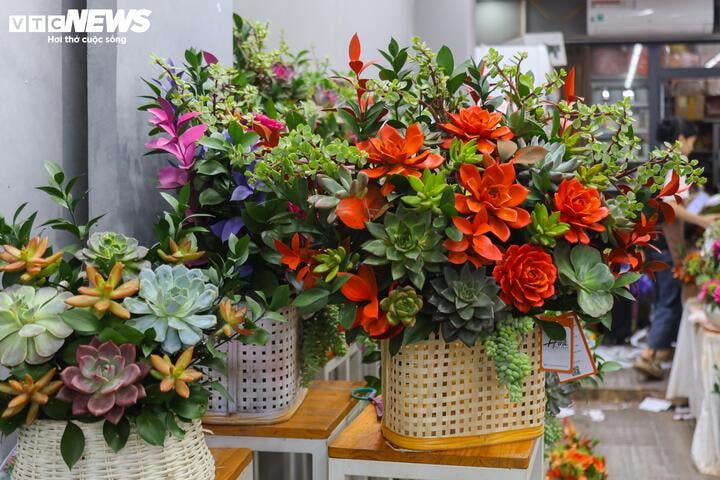 Khách hàng đổi 'gu', săn mua sen đá độc lạ dịp 8/3 - Ảnh 7