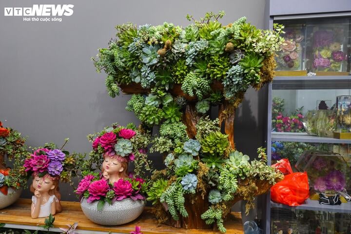 Khách hàng đổi 'gu', săn mua sen đá độc lạ dịp 8/3 - Ảnh 3