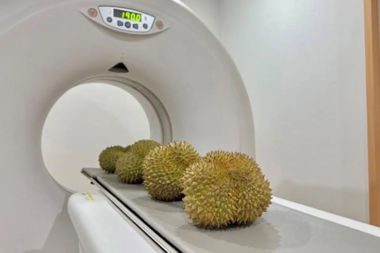 Bị Trung Quốc từ chối nhập khẩu, sợ Việt Nam truất ngôi: Thái Lan tung 'chiêu độc' dùng máy X-quang quét từng trái sầu riêng, độ chính xác 95%, công suất 1.200 quả/giờ - Ảnh 1