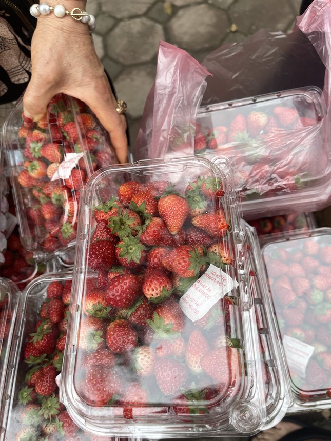 Dâu tây 'rẻ như bèo' tràn ngập Hà Nội - Ảnh 2