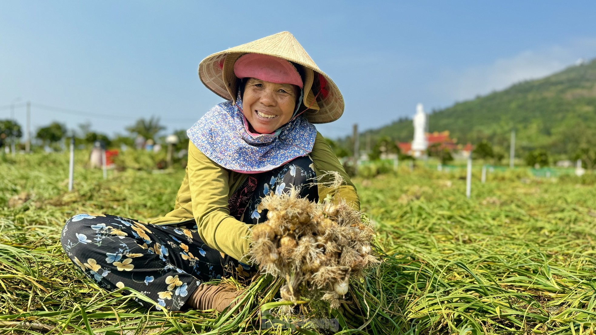 Tỏi cô đơn cực kỳ hiếm - Ảnh 4