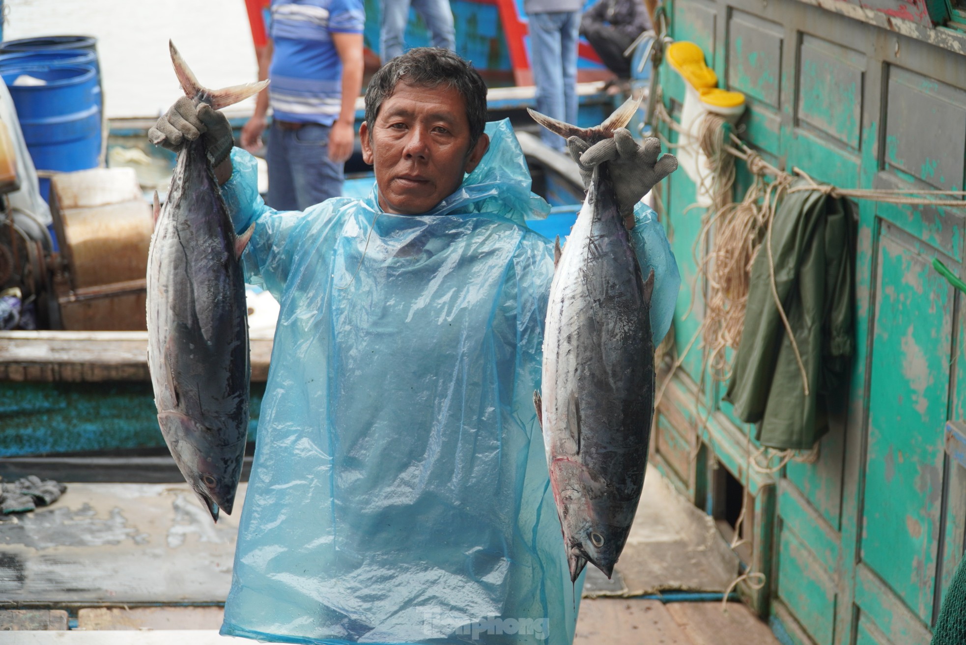 Ngư dân đánh bắt được cá 'khủng' phải vài người khiêng lên bờ - Ảnh 22