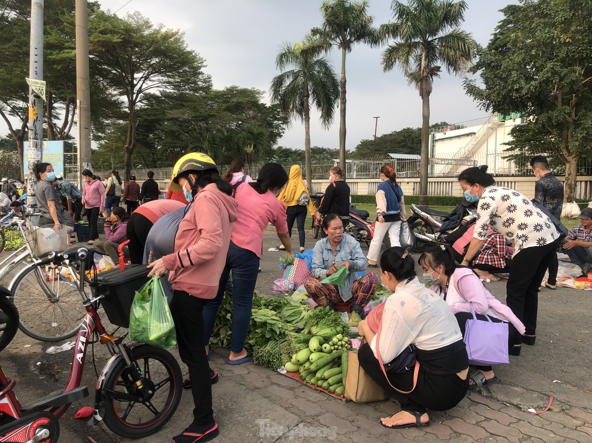 Giá thịt heo bao giờ hạ nhiệt? - Ảnh 3