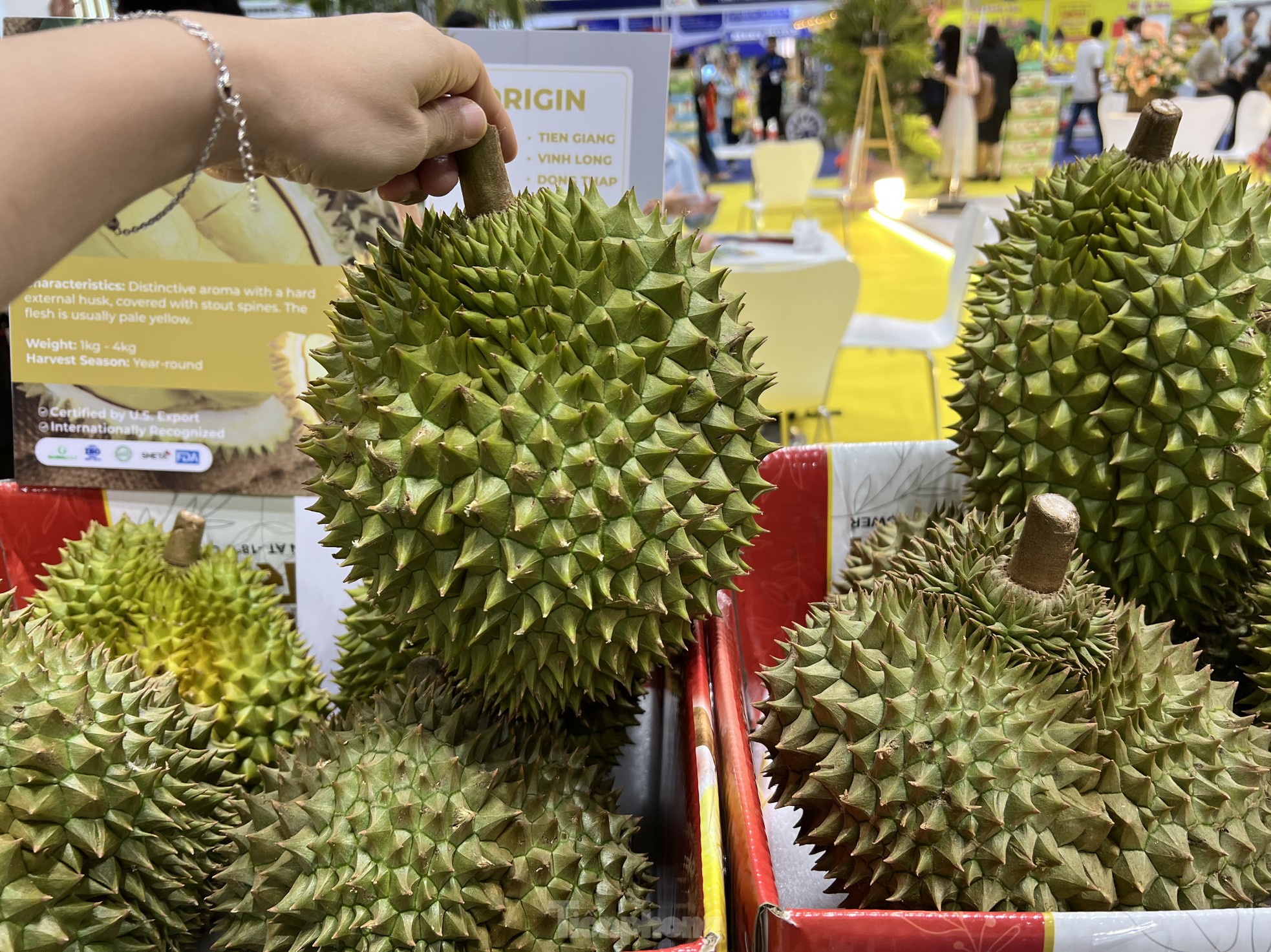 Chanh leo độc lạ giá cao chót vót vẫn không có mà bán - Ảnh 5