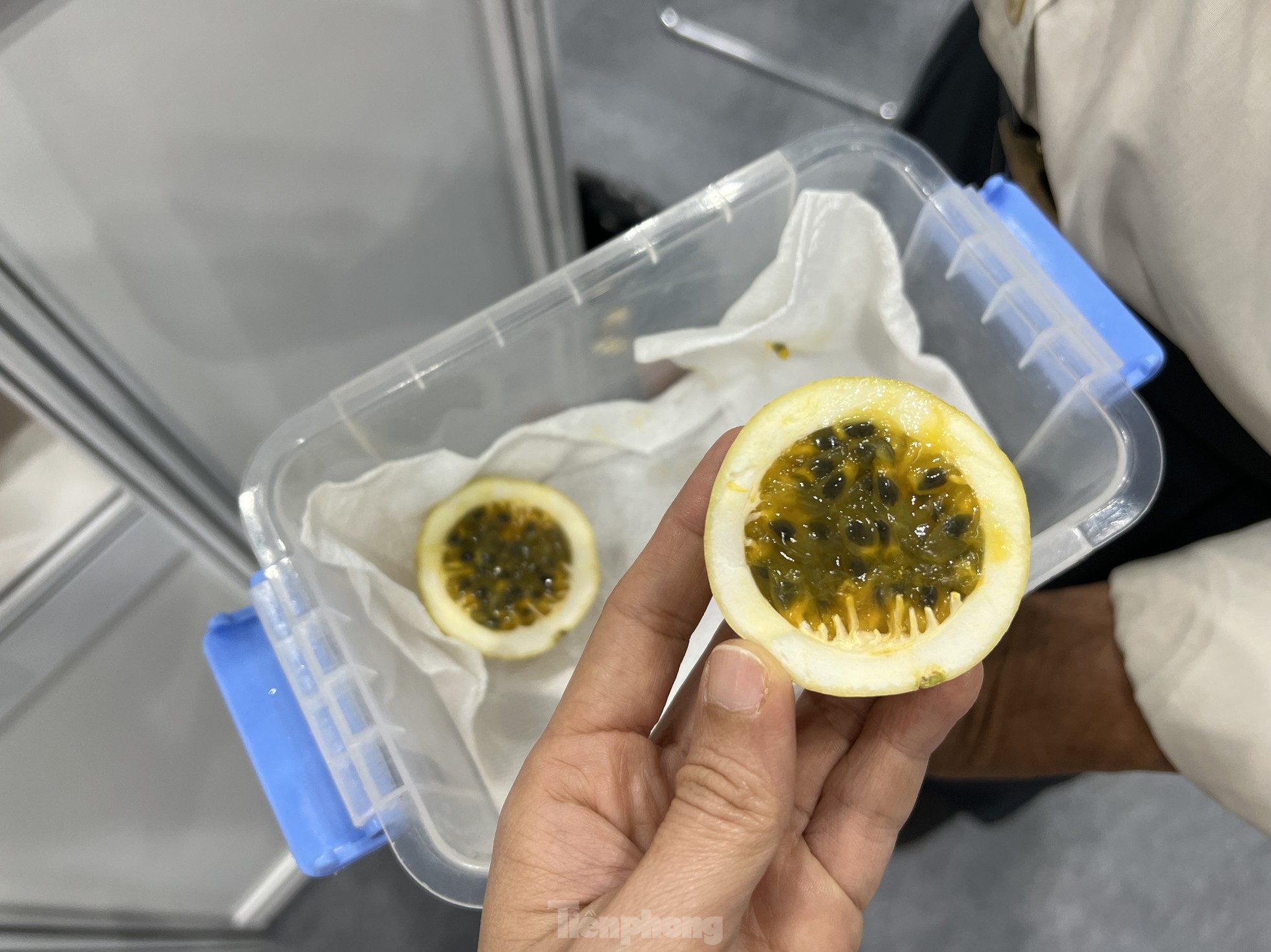 Chanh leo độc lạ giá cao chót vót vẫn không có mà bán - Ảnh 2