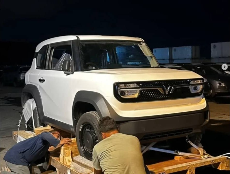 Không chỉ mang sang thứ gây sốt ở Việt Nam, VinFast tính làm điều chưa từng làm tại nước 280 triệu dân - Ảnh 1