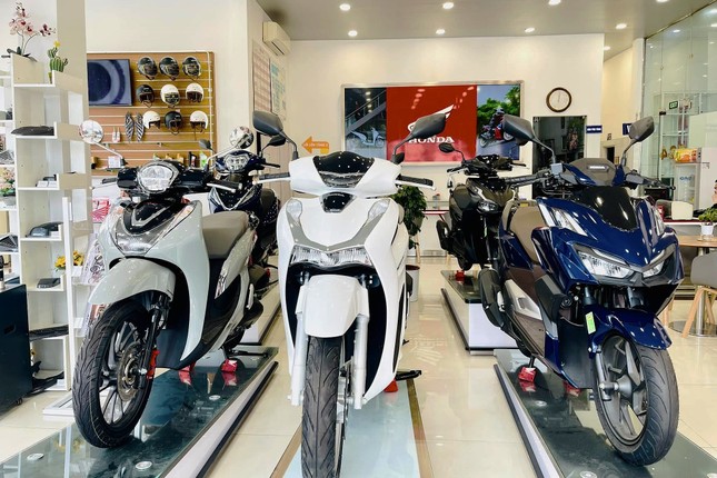 Thị trường xe máy Việt Nam đầu 2025 khởi sắc nhờ xe điện - Ảnh 1
