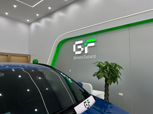 Vì sao công ty do con trai tỷ phú Phạm Nhật Vượng làm tổng giám đốc muốn đổi tên? - Ảnh 2