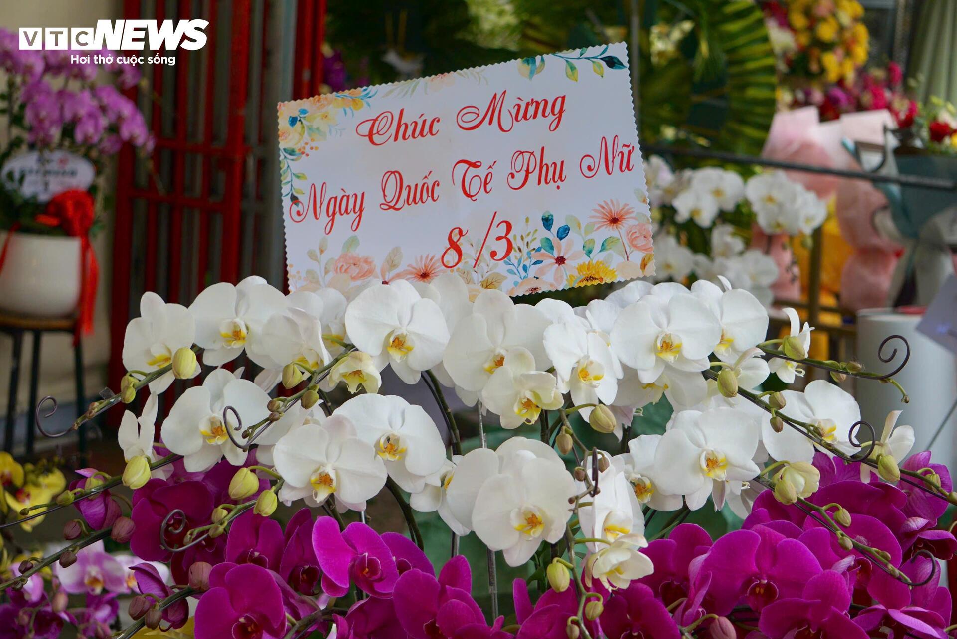 Đông nghịt khách, tiểu thương chợ hoa lớn nhất TP.HCM vẫn than 'ế' hàng - Ảnh 8